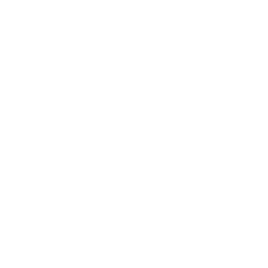 Didier Parrucchieri